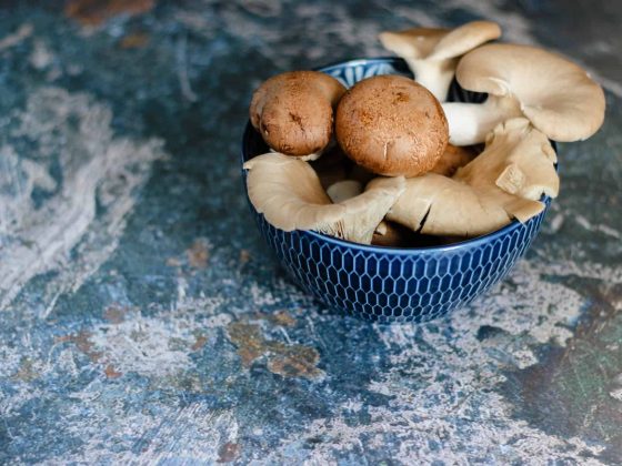 blue bowl of brown mushrooms illustrating conception COVID-19 Vitamin D
