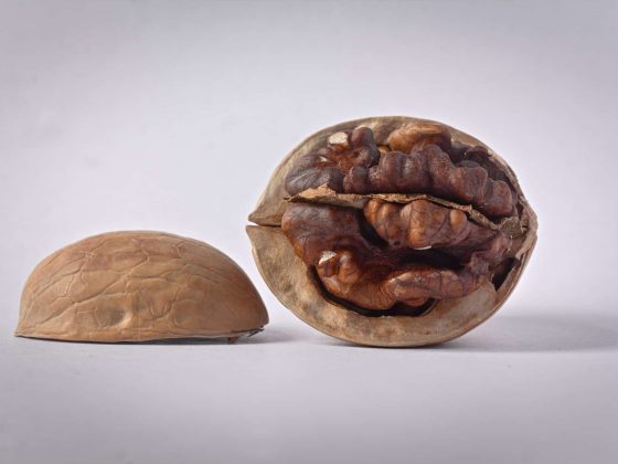 walnuts