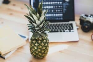 pineapple fertility charms