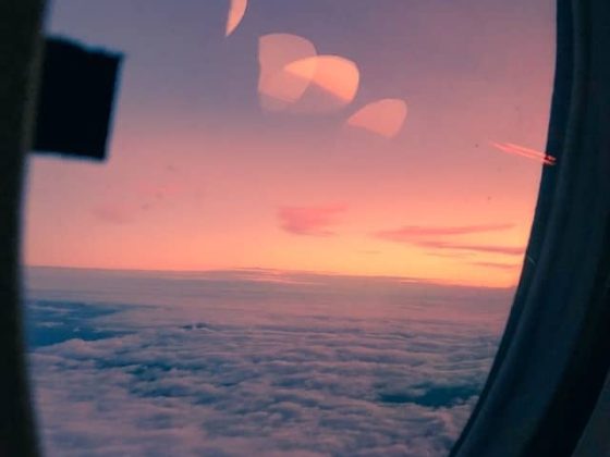 picture from a window on a aircraft illustrating fertility in flight crew