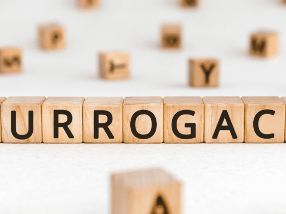 woodern blocks spelling Surrogacy