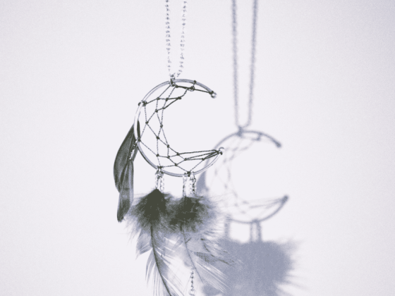silver moon pregnamcy dreams catcher with feathers on a blue grey background