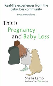 this is pregnancy and baby loss sheila lamb book